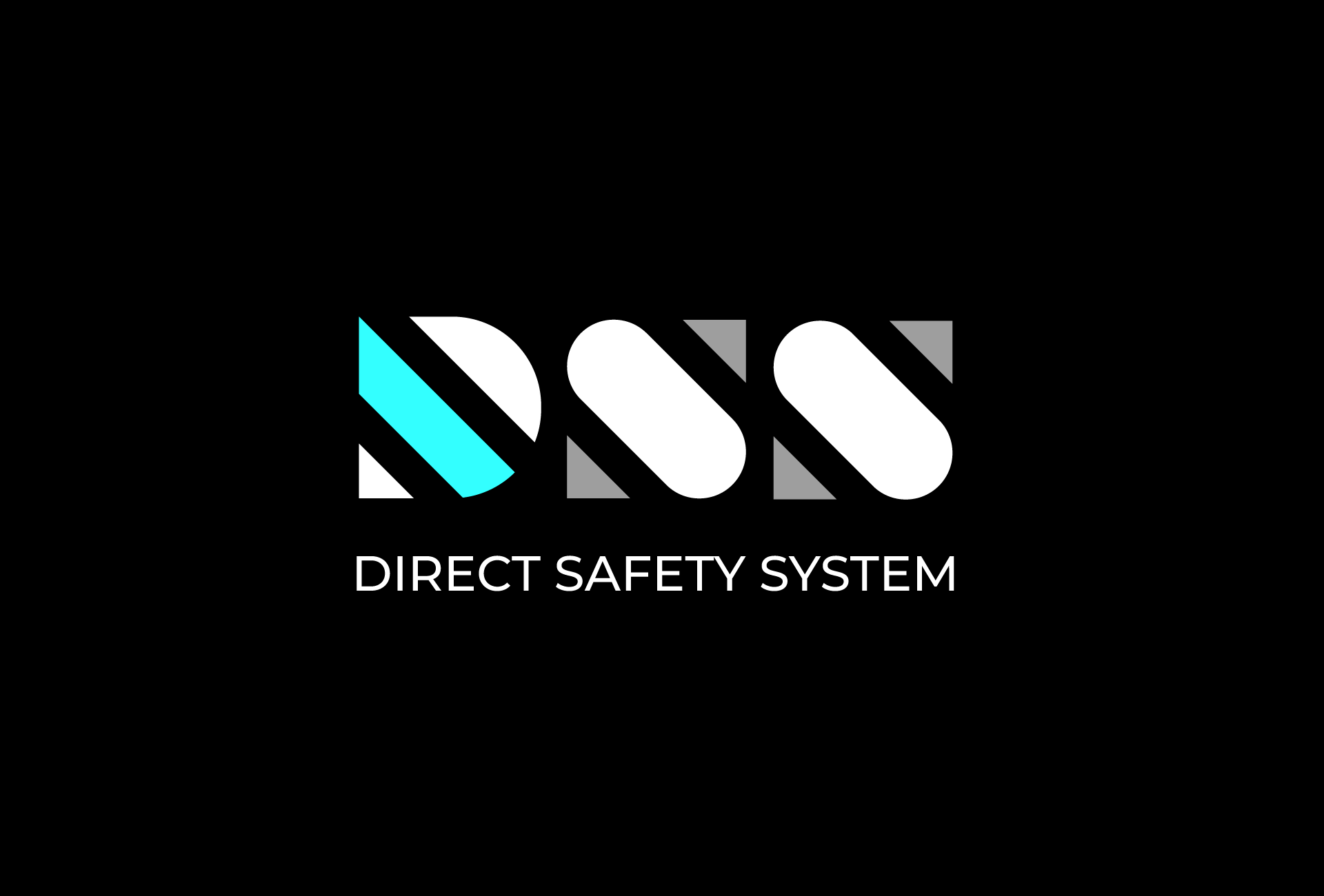 Direct Safety System Kft